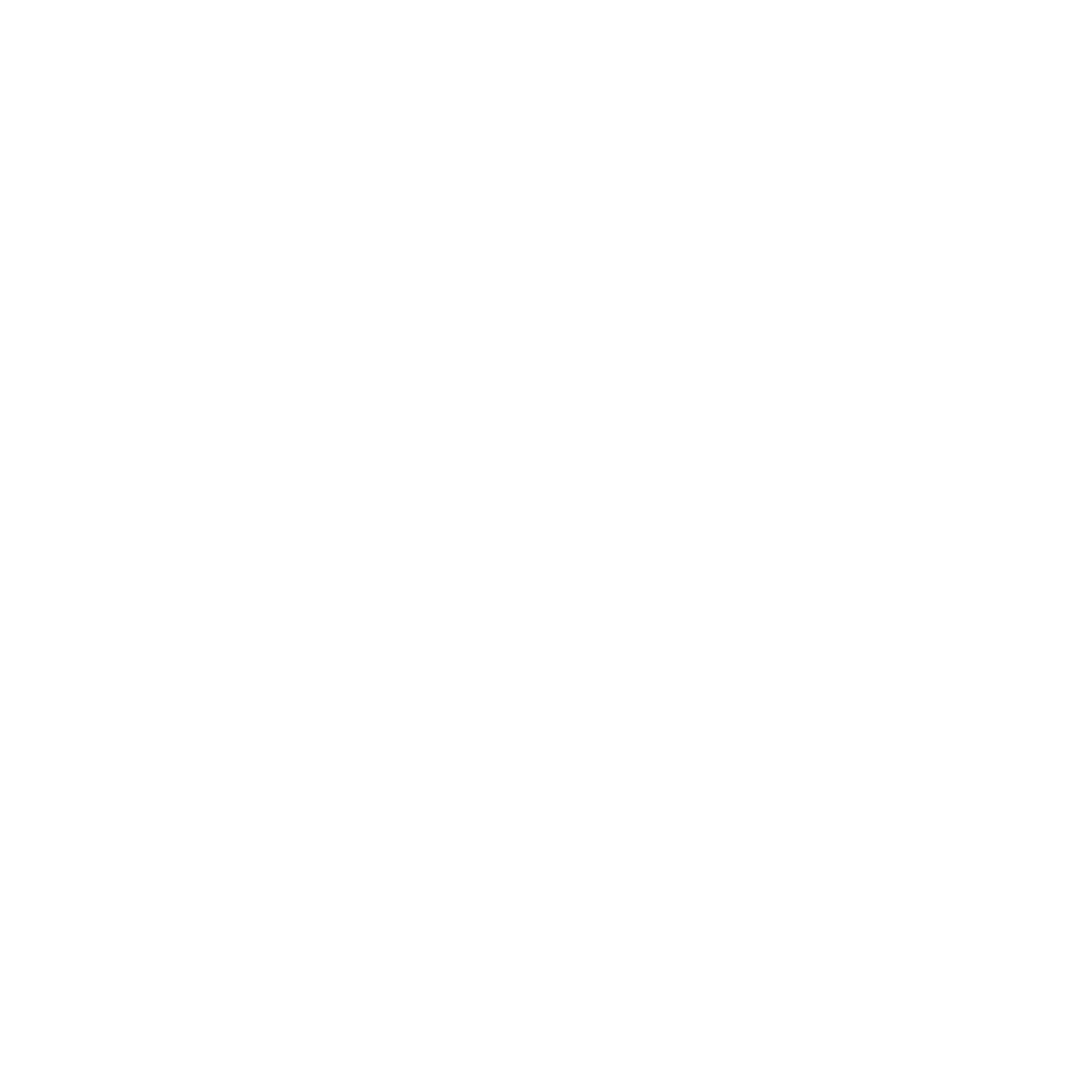 DERMIK MX